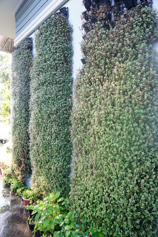 The Rhea Udon Thani Exterior foto