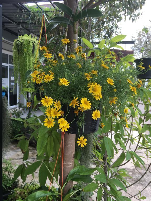 The Rhea Udon Thani Exterior foto